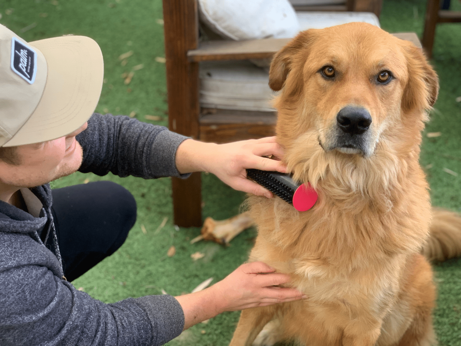 Fur Sweep Review Is It the Best Pet Brush of 2023? Dog Habitat