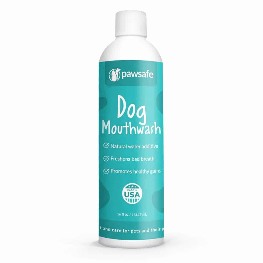 5 best water additives for dogs dog habitat