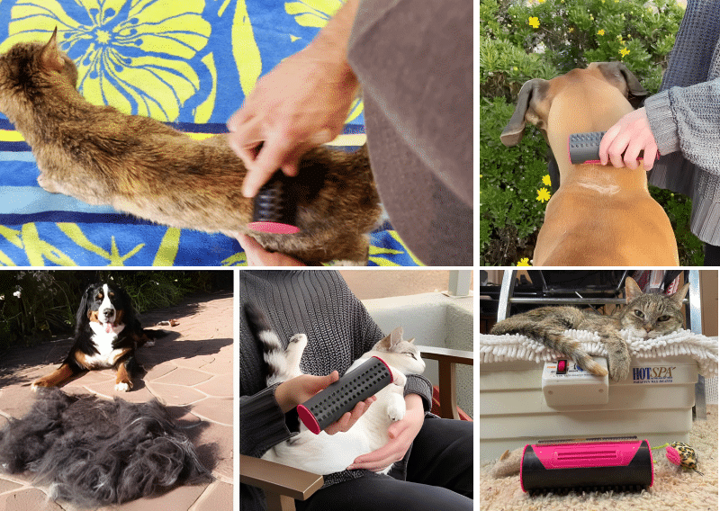 5 Best Dog Brushes 2023 Dog Habitat